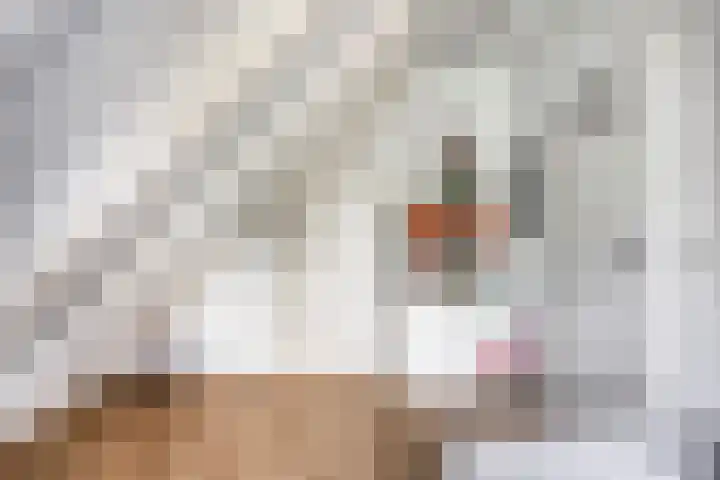 Middelzand 5930 Julianadorp thumbnail 19