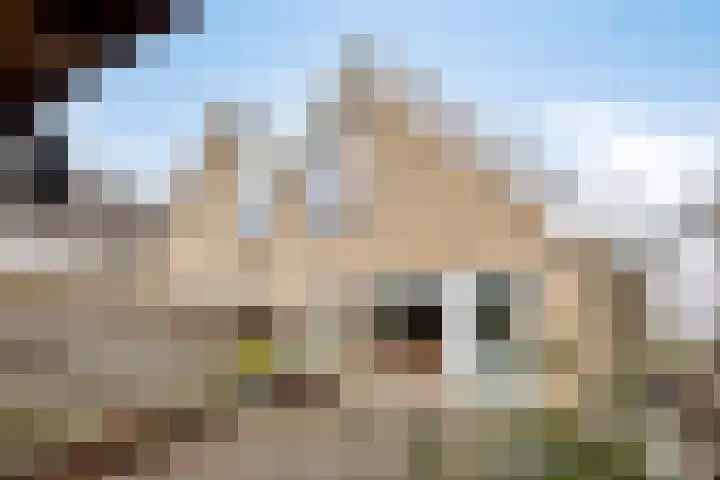 Middelzand 5930 Julianadorp thumbnail 23