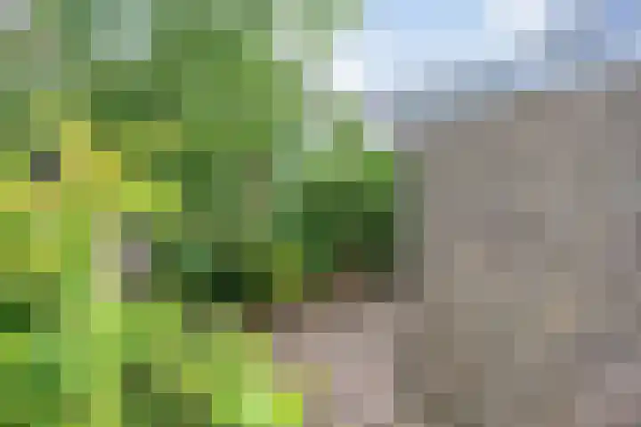 Middelzand 5930 Julianadorp thumbnail 25