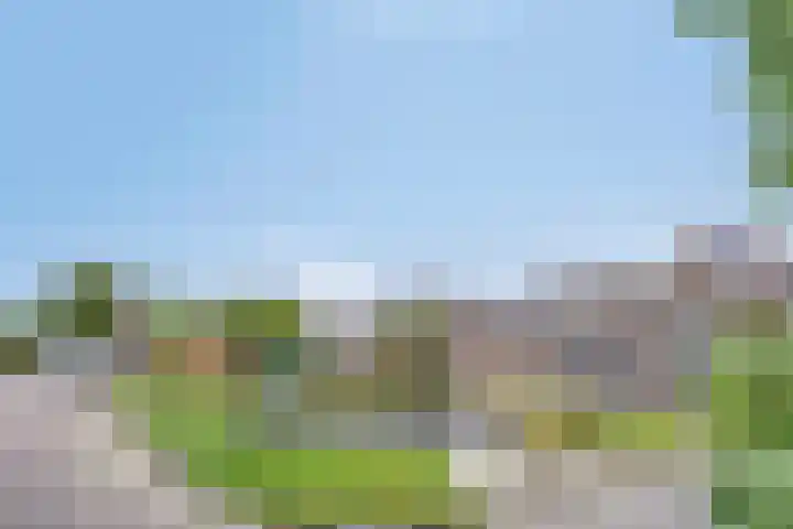 Middelzand 5930 Julianadorp thumbnail 27