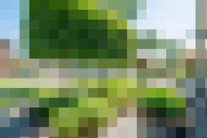 Middelzate 21 Bunschoten-Spakenburg thumbnail 43