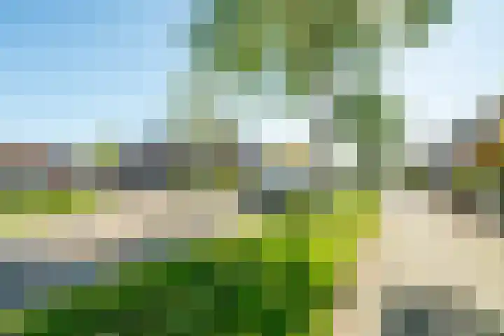 Middelzate 21 Bunschoten-Spakenburg thumbnail 46