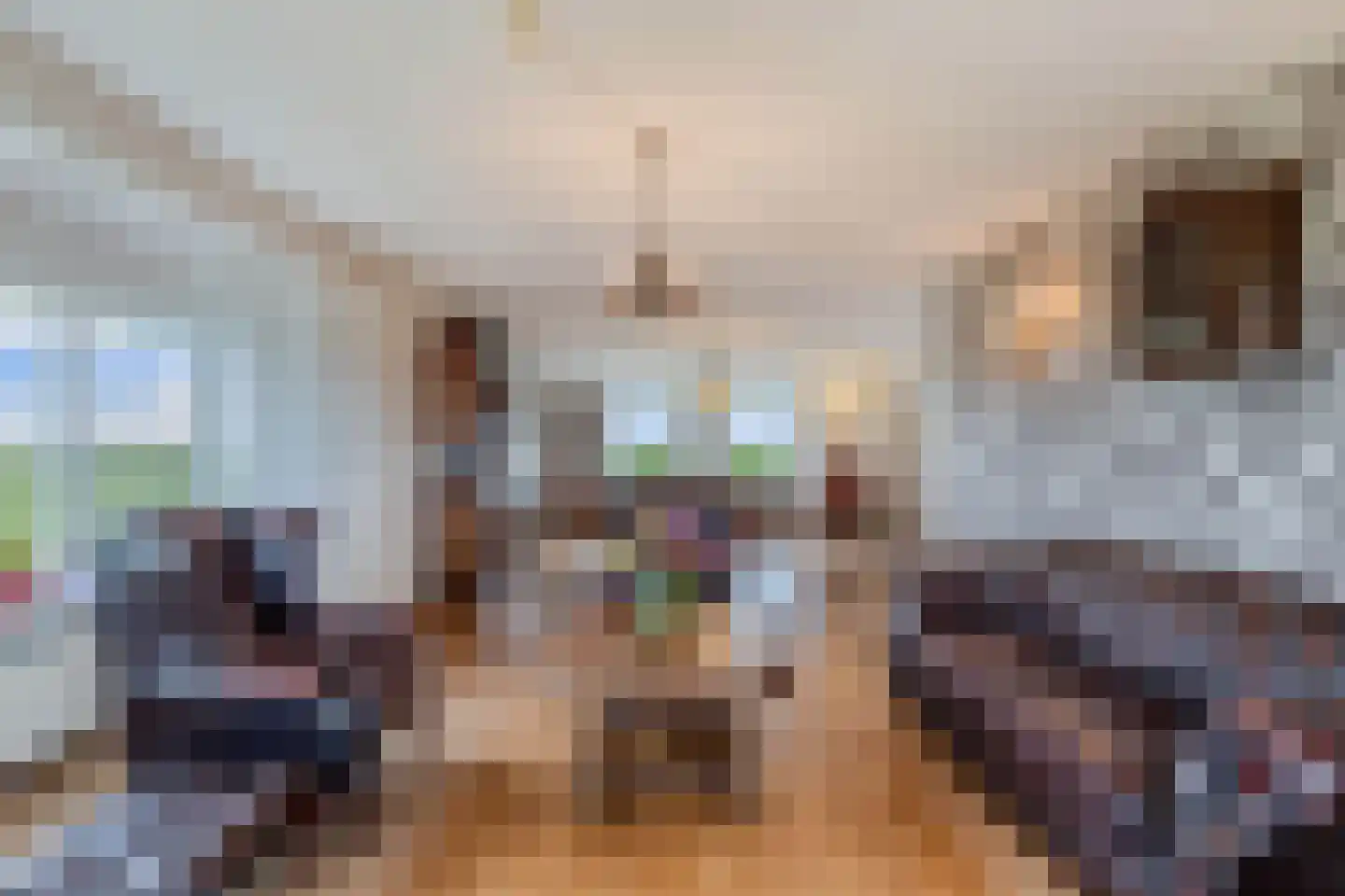 Middelzeedijk 12 B Hartwerd thumbnail 15