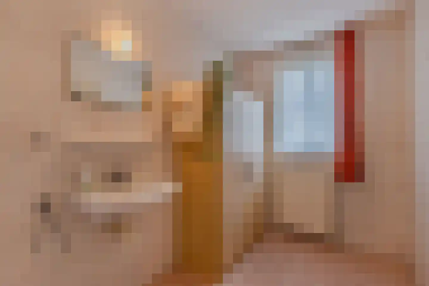 Middelzeedijk 12 B Hartwerd thumbnail 29