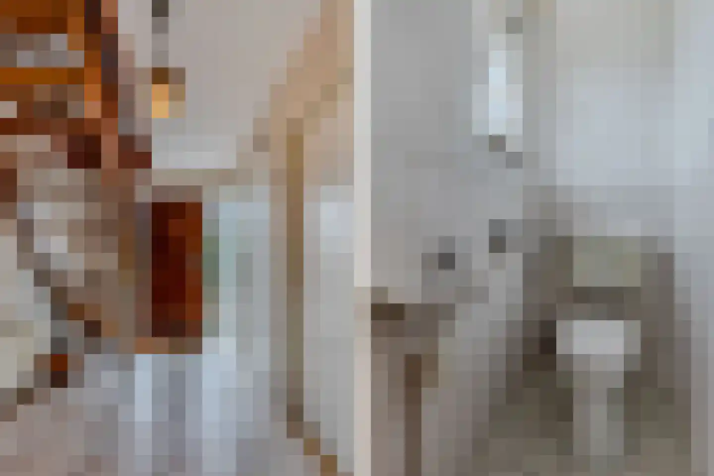 Middelzeedijk 12 B Hartwerd thumbnail 30