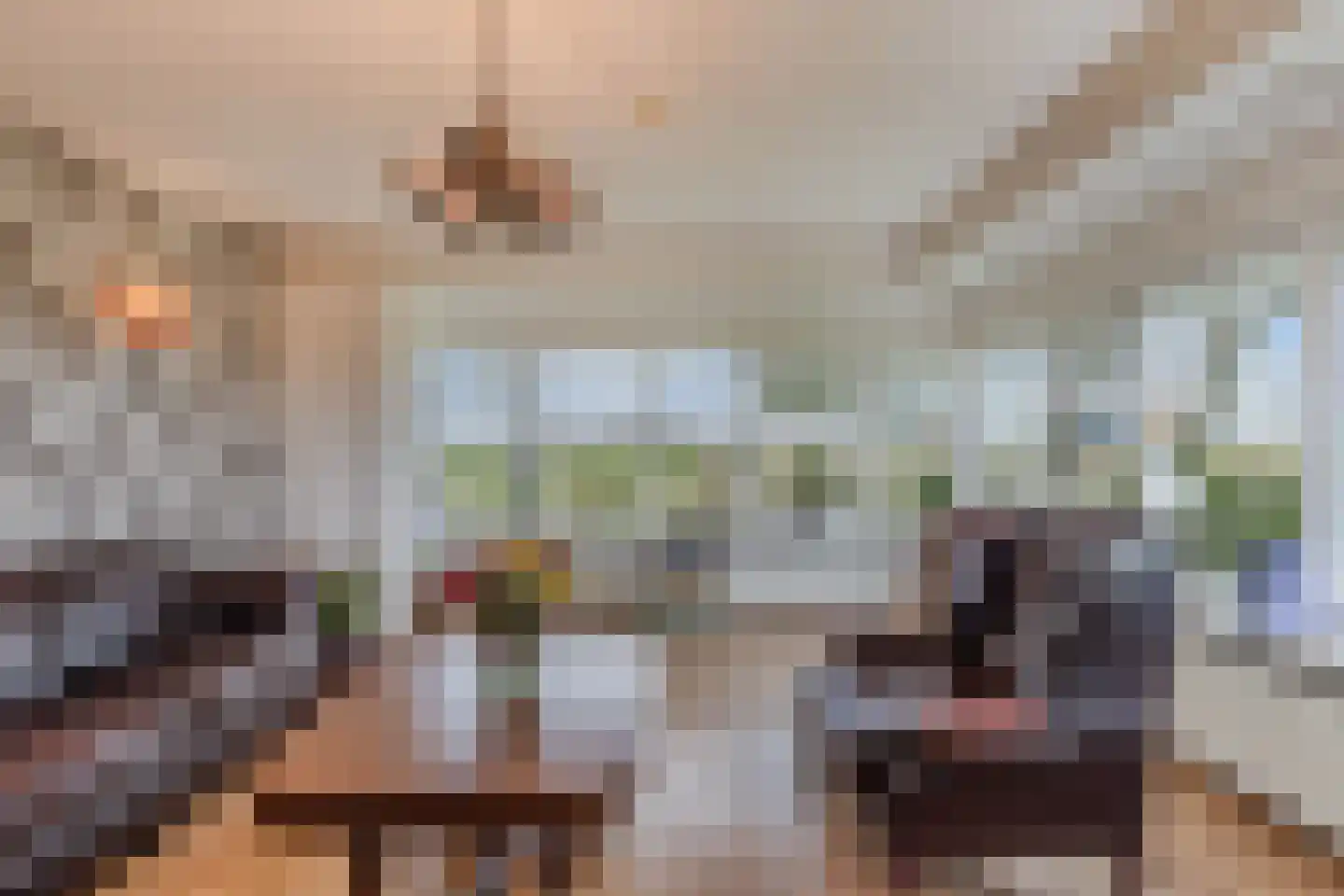 Middelzeedijk 12 B Hartwerd thumbnail 4