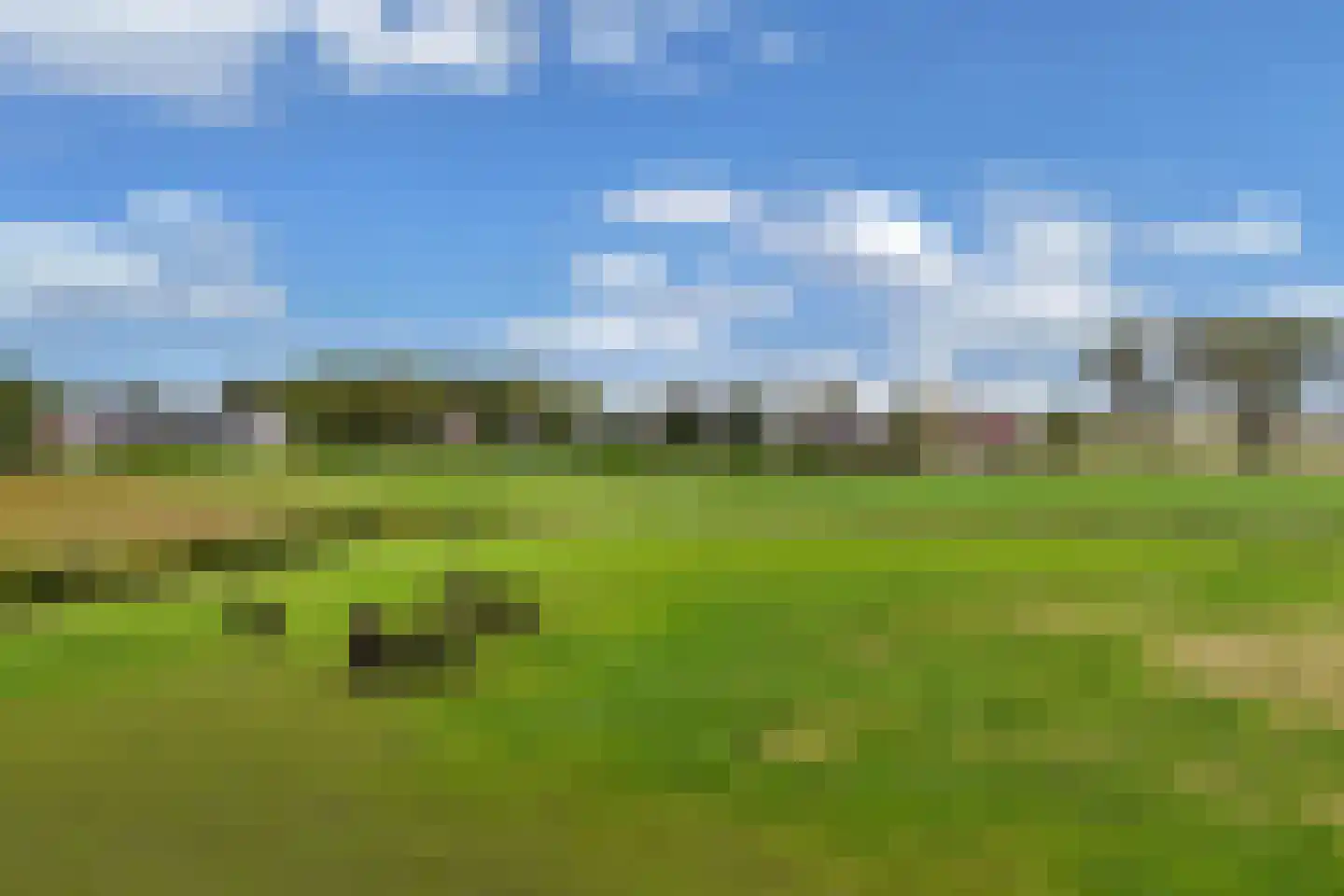 Middelzeedijk 12 B Hartwerd thumbnail 44