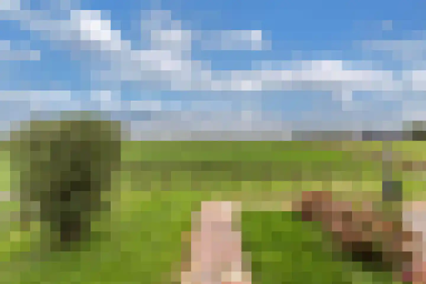 Middelzeedijk 12 B Hartwerd thumbnail 52