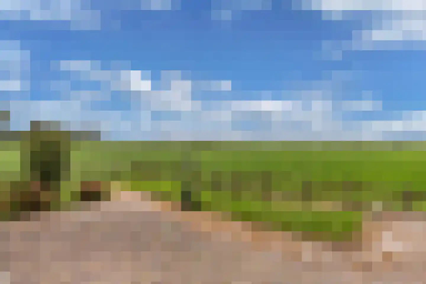 Middelzeedijk 12 B Hartwerd thumbnail 53