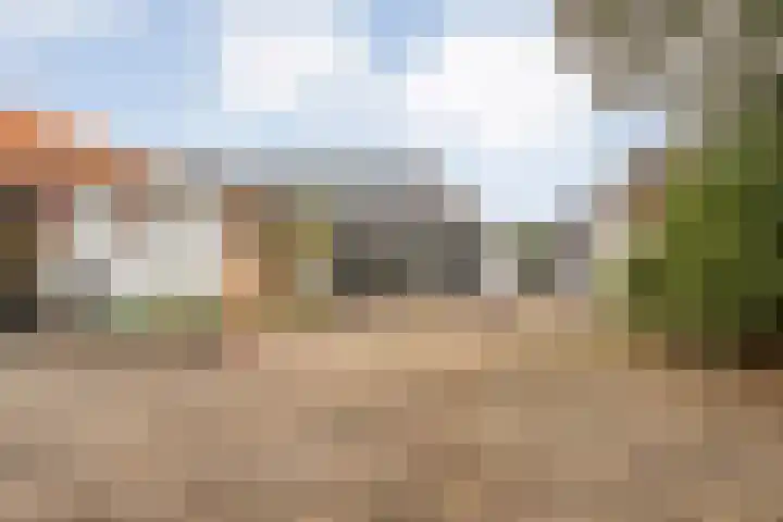 Midden 116 Wapserveen thumbnail 11