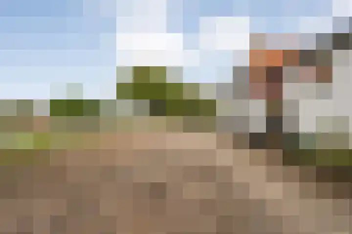 Midden 116 Wapserveen thumbnail 12