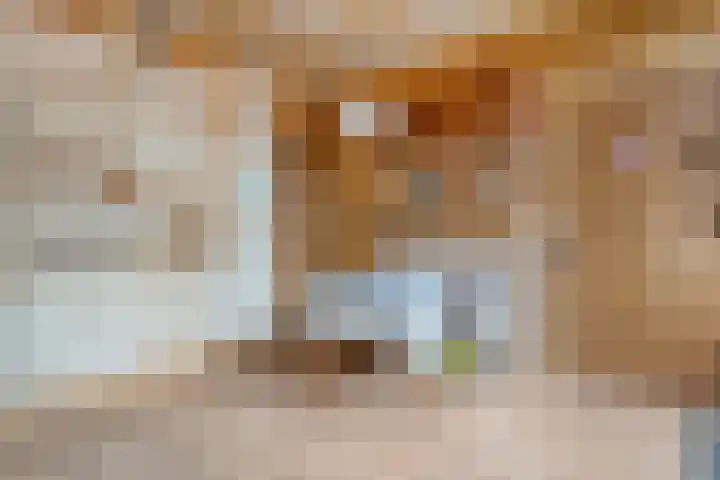 Midden 116 Wapserveen thumbnail 22