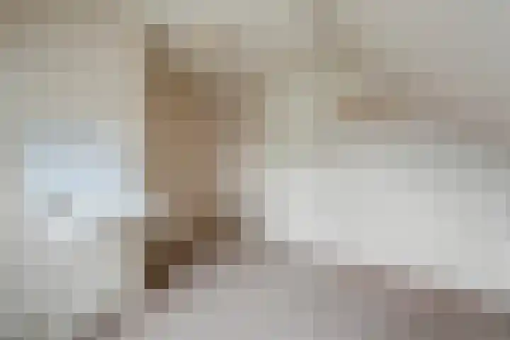 Midden 116 Wapserveen thumbnail 27