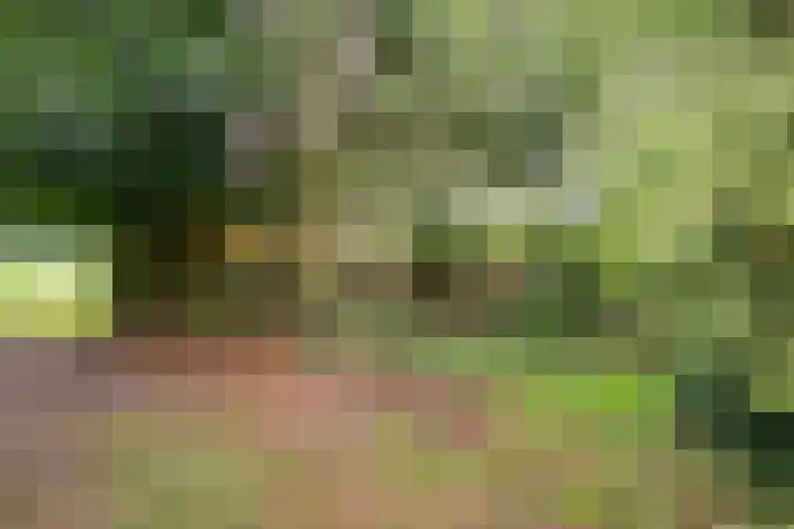 Midden 116 Wapserveen thumbnail 34