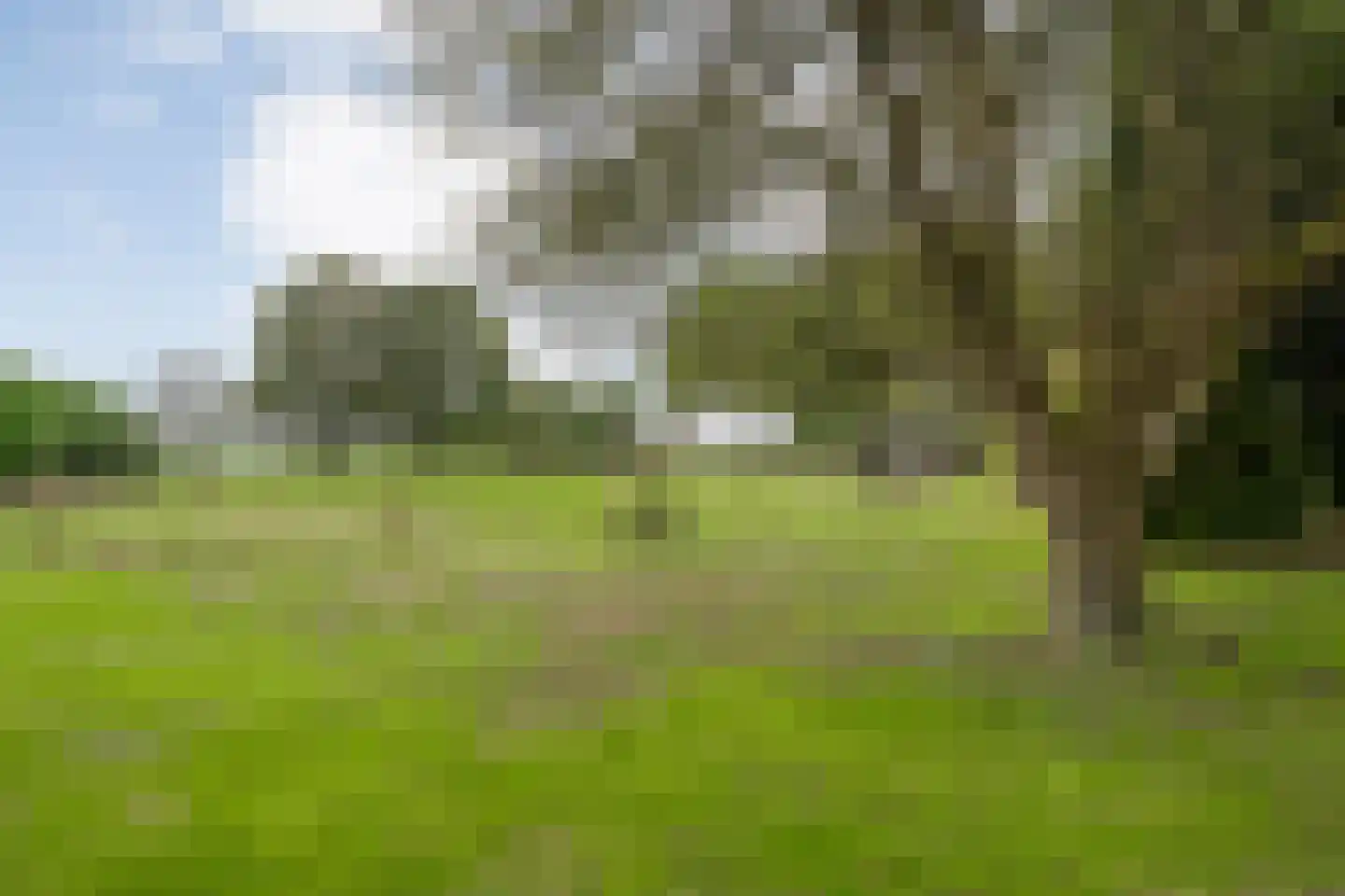 Midden 116 Wapserveen thumbnail 35
