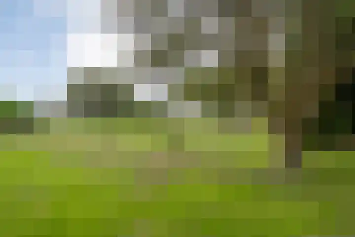 Midden 116 Wapserveen thumbnail 35
