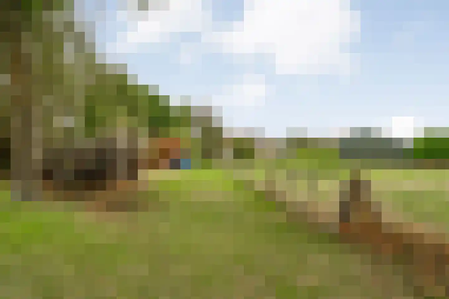 Midden 116 Wapserveen thumbnail 36
