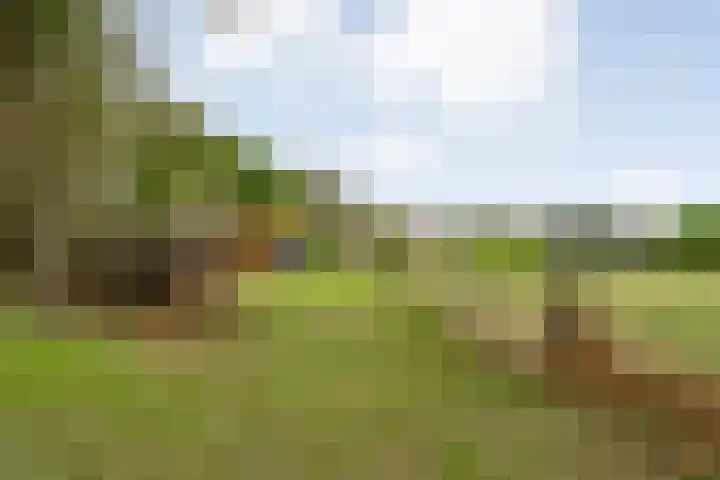 Midden 116 Wapserveen thumbnail 36
