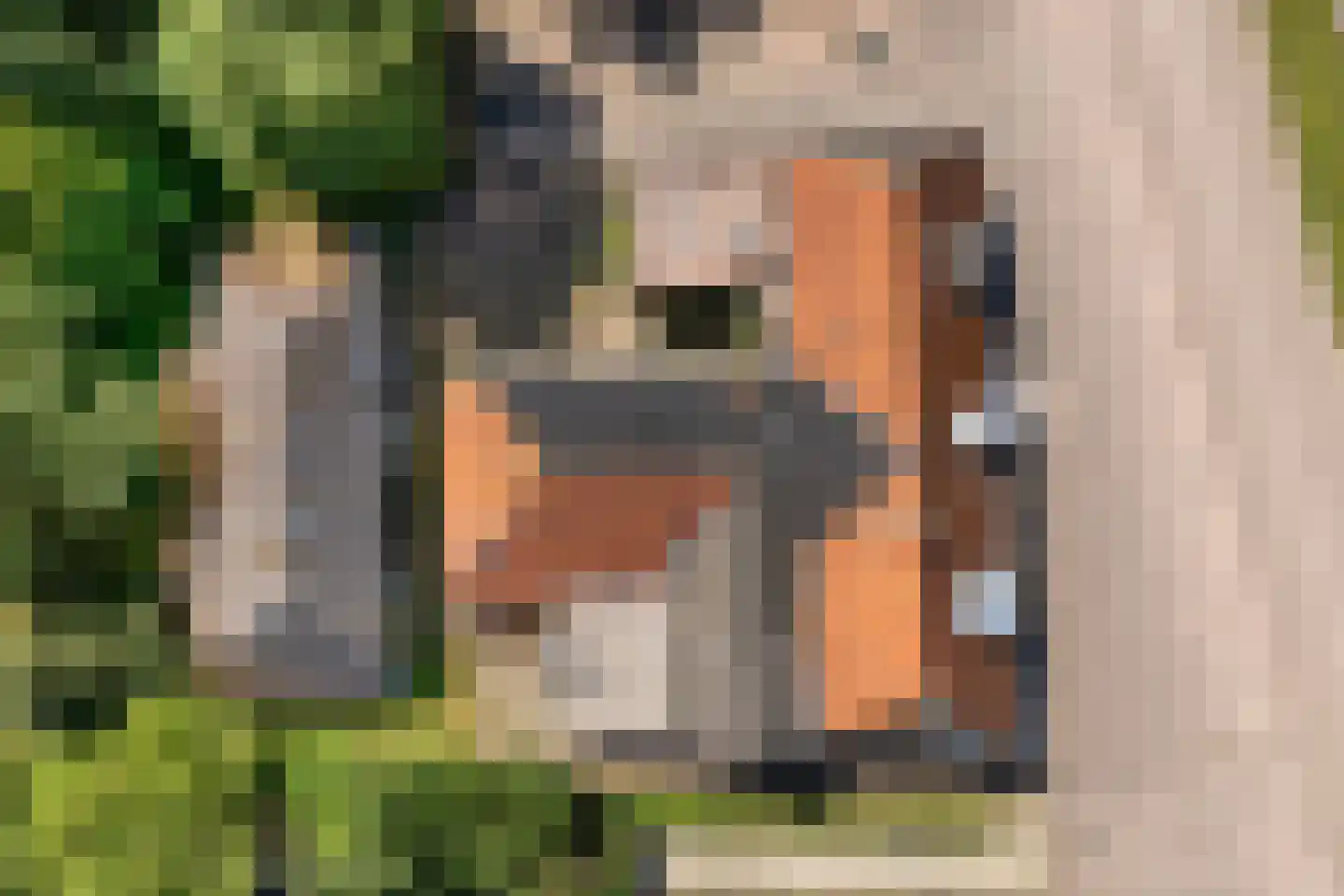 Midden 116 Wapserveen thumbnail 36