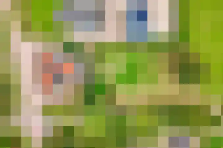 Midden 116 Wapserveen thumbnail 37
