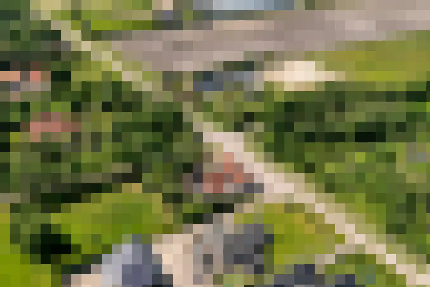 Midden 116 Wapserveen thumbnail 37