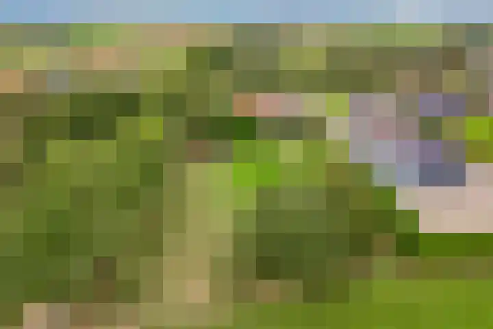 Midden 116 Wapserveen thumbnail 38