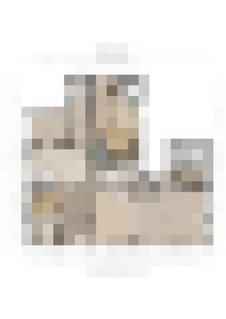 Midden 116 Wapserveen thumbnail 39