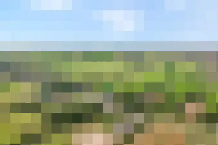 Midden 116 Wapserveen thumbnail 5