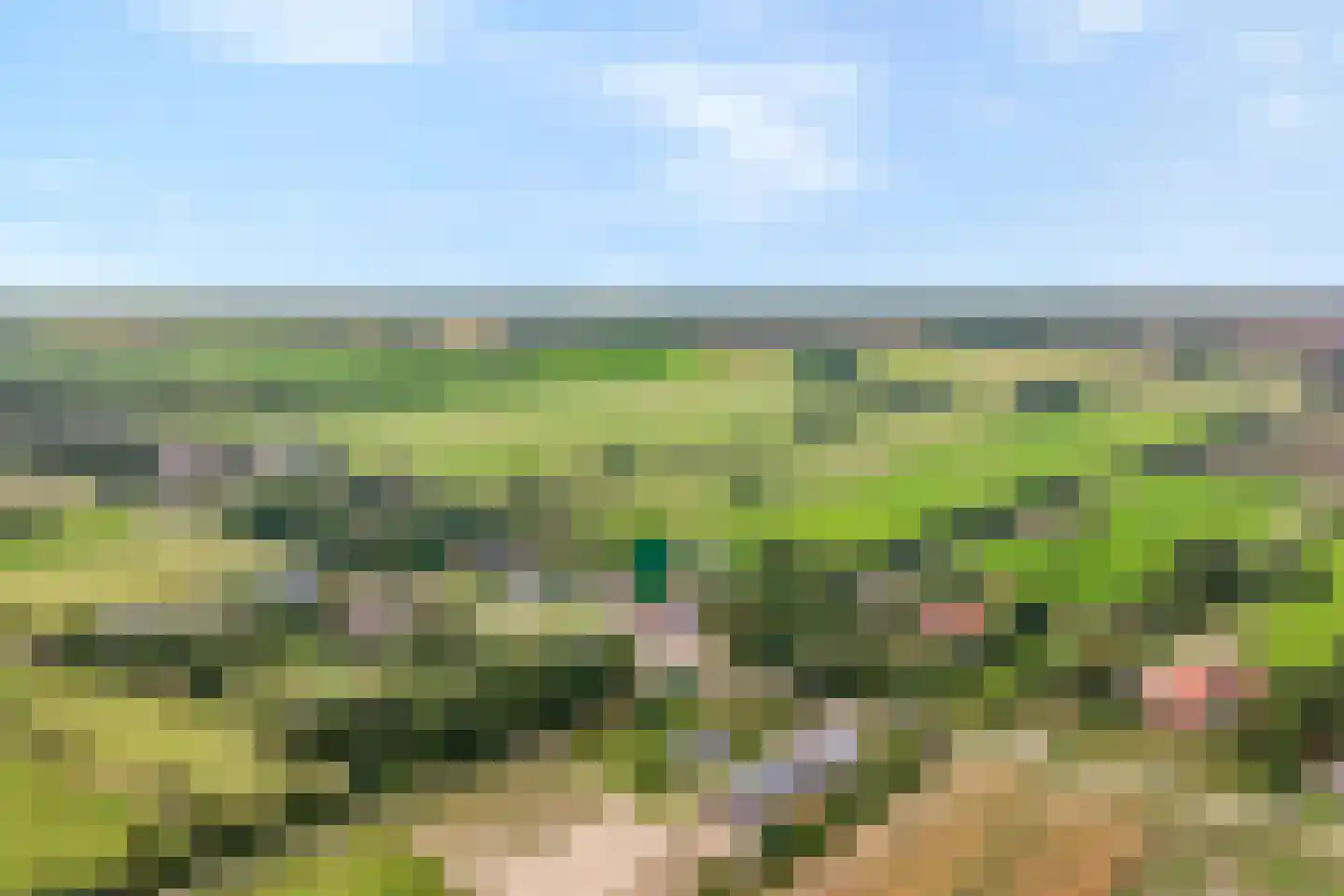 Midden 116 Wapserveen thumbnail 5