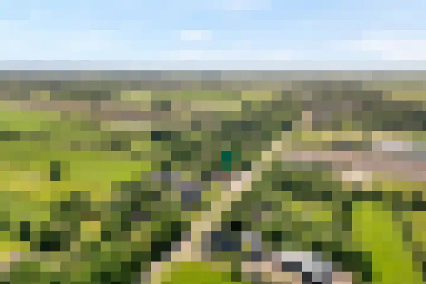 Midden 116 Wapserveen thumbnail 5