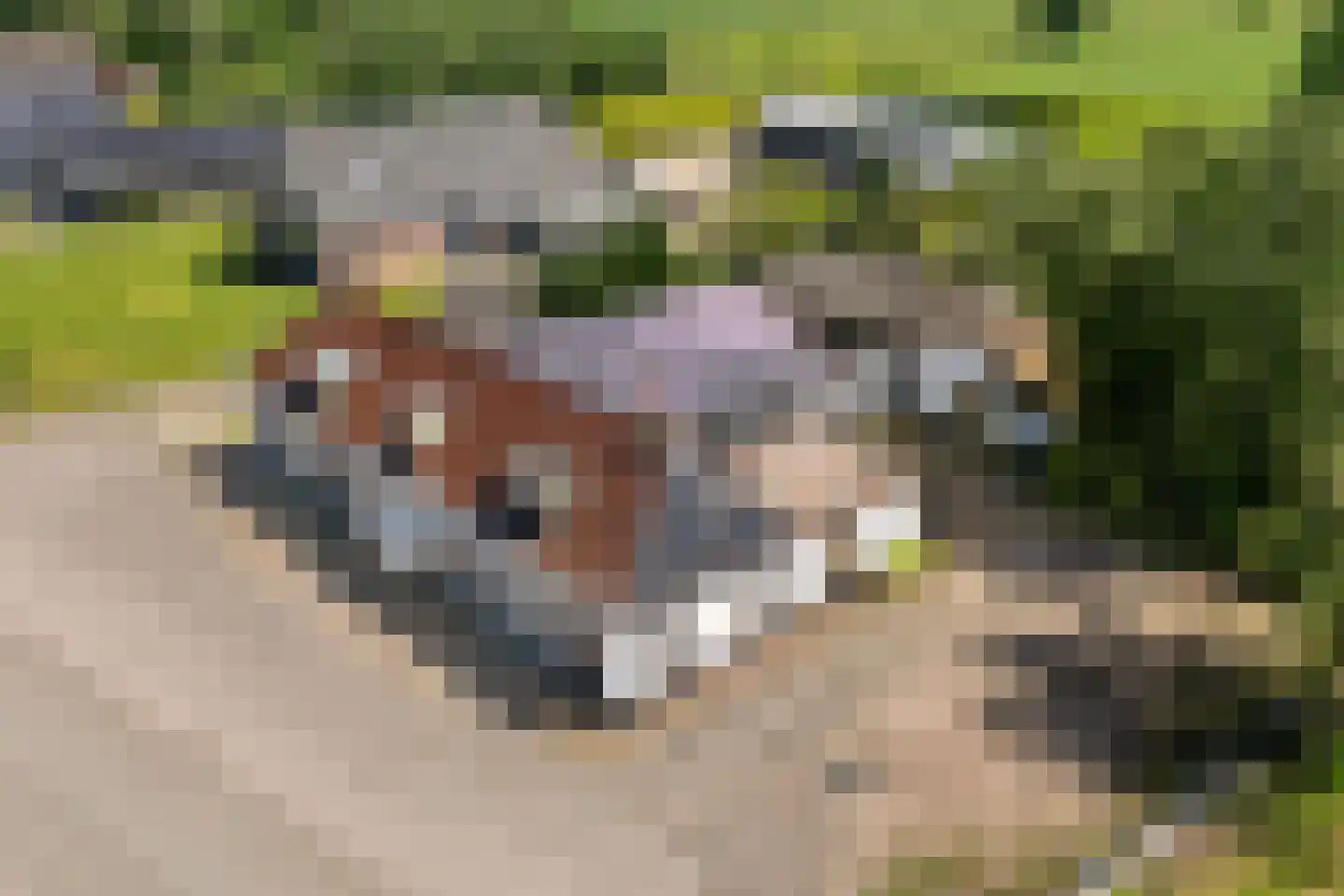 Midden 116 Wapserveen thumbnail 6
