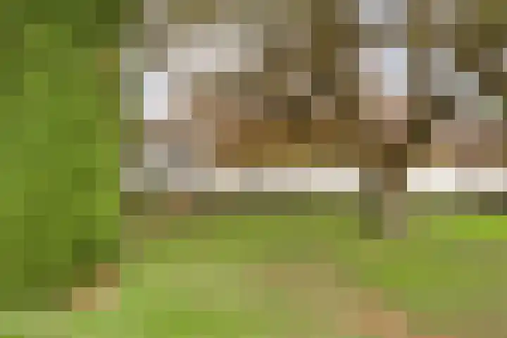 Midden 116 Wapserveen thumbnail 6