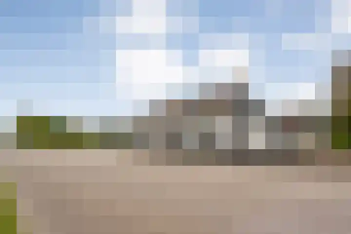 Midden 116 Wapserveen thumbnail 7