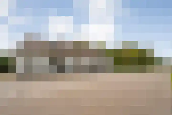 Midden 116 Wapserveen thumbnail 8