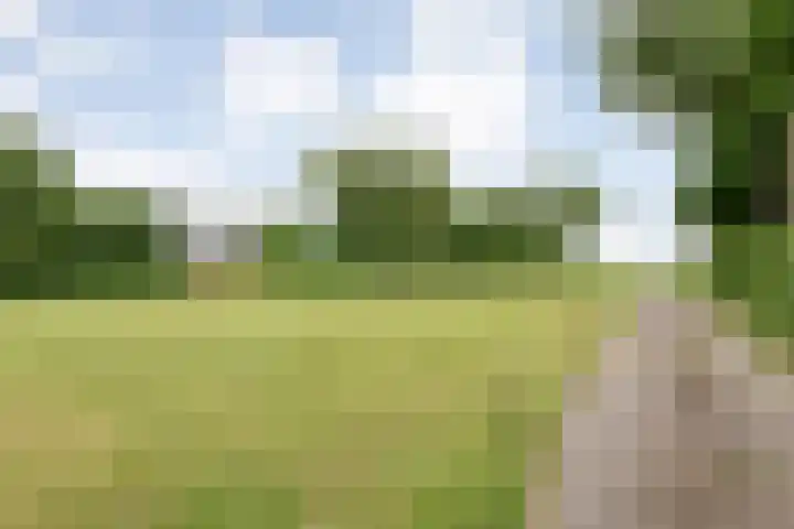 Midden 119 Wapserveen thumbnail 11