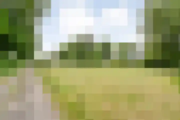 Midden 119 Wapserveen thumbnail 12