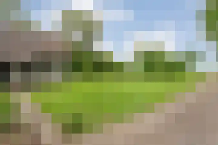 Midden 119 Wapserveen thumbnail 13
