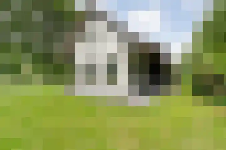 Midden 119 Wapserveen thumbnail 15