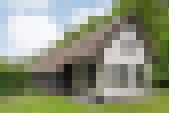 Midden 119 Wapserveen thumbnail 5