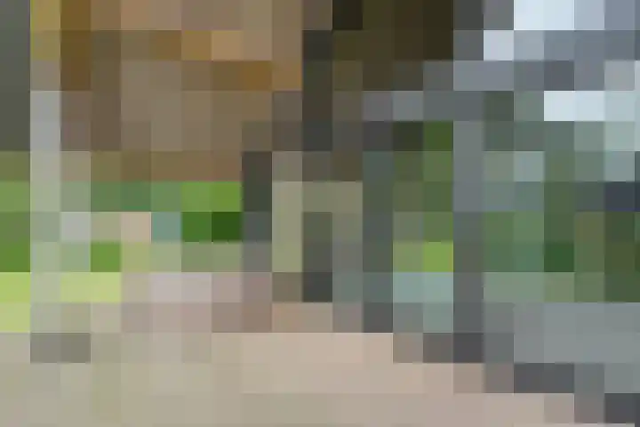 Midden 119 Wapserveen thumbnail 50