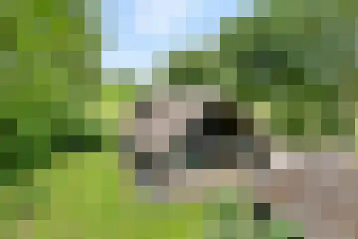 Midden 119 Wapserveen thumbnail 51