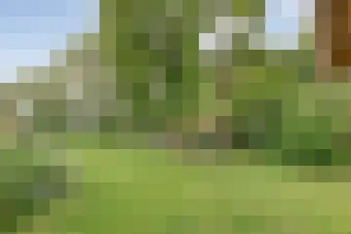 Midden 119 Wapserveen thumbnail 52