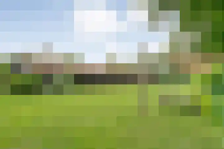 Midden 119 Wapserveen thumbnail 53