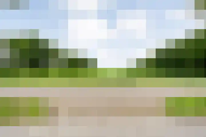 Midden 119 Wapserveen thumbnail 55