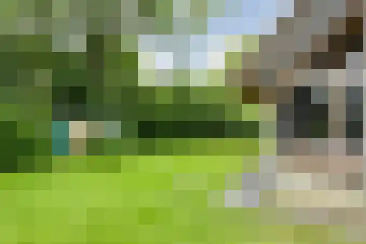 Midden 119 Wapserveen thumbnail 58