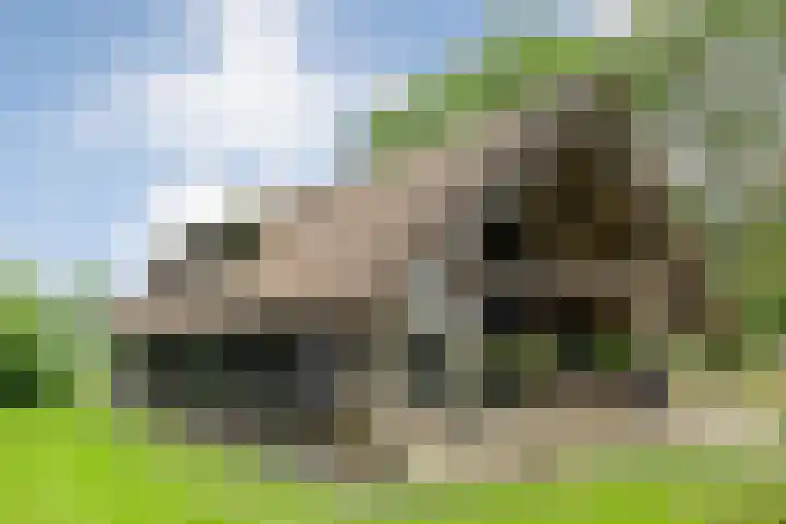 Midden 119 Wapserveen thumbnail 60