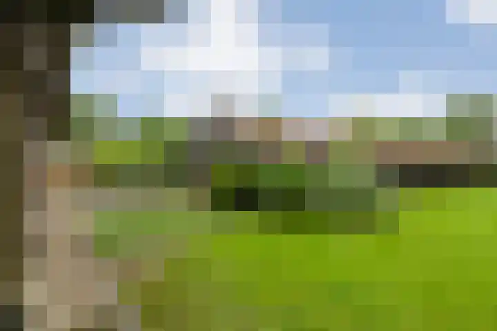 Midden 119 Wapserveen thumbnail 61