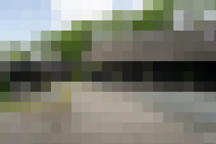 Midden 119 Wapserveen thumbnail 63