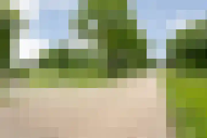 Midden 119 Wapserveen thumbnail 7