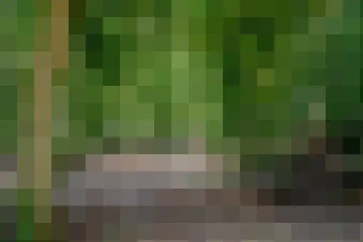 Midden 126 Wapserveen thumbnail 100